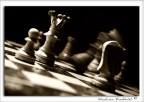 Checkmated! Checkmated!