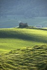 Rovine Rovine