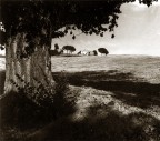Fra le campagne di Vinci Fra le campagne di Vinci