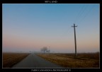 my land