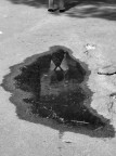 Ilfotografatutto Ilfotografatutto