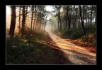 Luce nuova Luce nuova