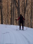Bosco della Martese... verso Pizzo di Moscio Bosco della Martese... verso Pizzo di Moscio
