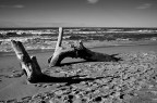Il mare d'inverno Il mare d'inverno