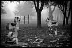 In pace nella nebbia In pace nella nebbia