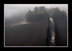 il vialetto il vialetto