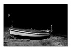 Riposo invernale -01- Riposo invernale -01-