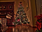 L'albero di Natale L'albero di Natale
