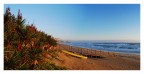 solitary beach solitary beach