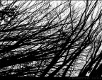 senza titolo03 senza titolo03