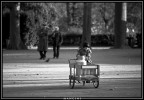 bambina con carretto bambina con carretto