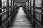 Pontile Pontile