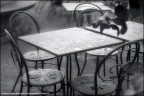 sedie sotto la pioggia sedie sotto la pioggia