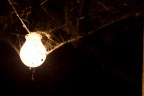 vecchia lampadina vecchia lampadina