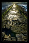 Sentiero verso terra - Cramon Island Edinburgh Sentiero verso terra - Cramon Island Edinburgh