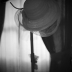 cappelli cappelli