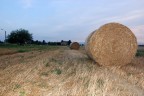 Rotoballe Rotoballe