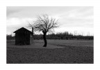 Paesaggio rurale Paesaggio rurale