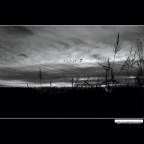 ::: AL CALAR DEL SOLE :::