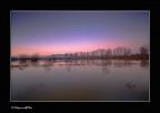 ...l'acqua e il padule