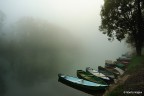 Barche nella nebbia Barche nella nebbia