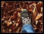 Passeggiata autunnale Passeggiata autunnale