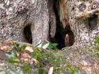 è una grotta? è una grotta?