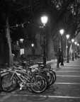 Biciclette in attesa... Biciclette in attesa...