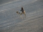 Egitto
Deserto
Panasonic DMC-FZ8
zoom 432mm