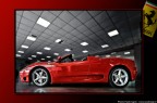 red passion red passion