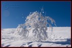 sulla neve in alta quota sulla neve in alta quota