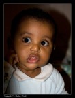 Fasil 2 Fasil 2