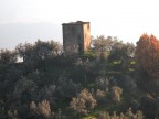casale tra gli ulivi casale tra gli ulivi