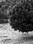 Sardegna, Agosto 2008 Sardegna, Agosto 2008