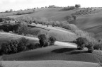 paesaggio paesaggio
