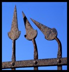 Che state guardando??