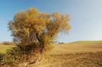 Autunno sui colli Autunno sui colli
