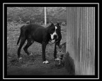 ?amici? ?amici?