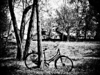 La bicicletta della Strega del Bosco La bicicletta della Strega del Bosco