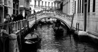 Venezia