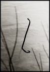 Nessie