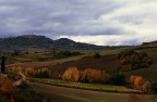Campagna di Montepulciano mattina presto Campagna di Montepulciano mattina presto