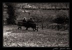 momenti... momenti...