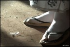 luce guida luce guida