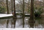 inverno nel parco inverno nel parco