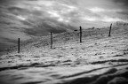 No man's land No man's land
