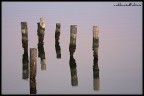 riflessi riflessi