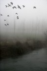sul fiume sul fiume