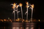 Palme. Palme.