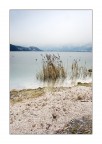 Foschia Nevosa #3